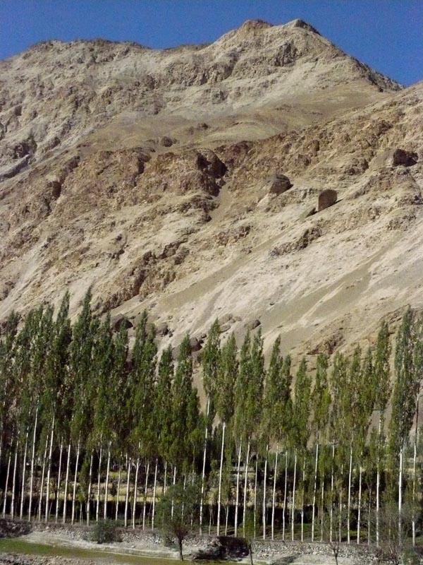 2 Weeks trek in Ladakh