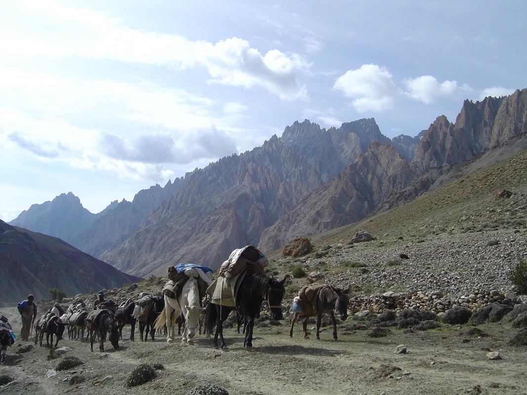Chevaux randonnée au Ladakh