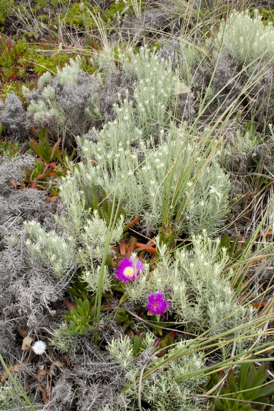 Paysage randonnée littoral Portugal plage