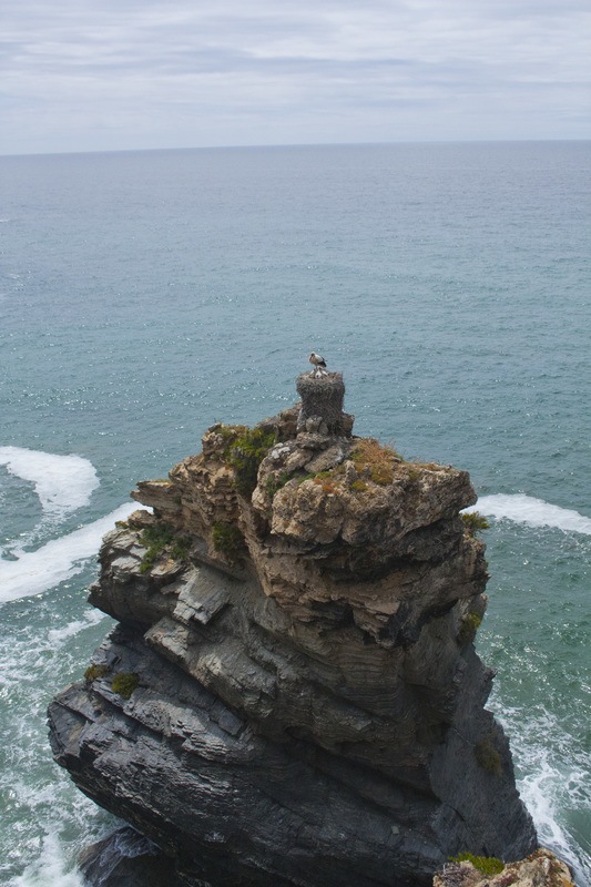 Paysage randonnée littoral Portugal cigogne